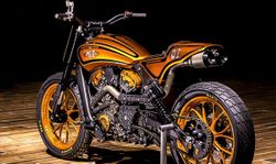Indian-Scout-Midwest-Urban-Dirt-Tracker--3.jpg