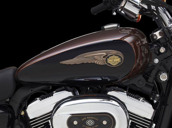2013 Harley Davidson 1200 Custom 110th Anniversary