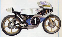 Morbidelli-250-1976.jpg