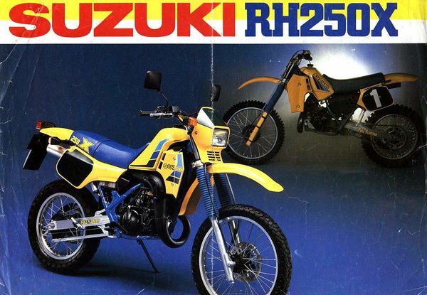 Suzuki TS250