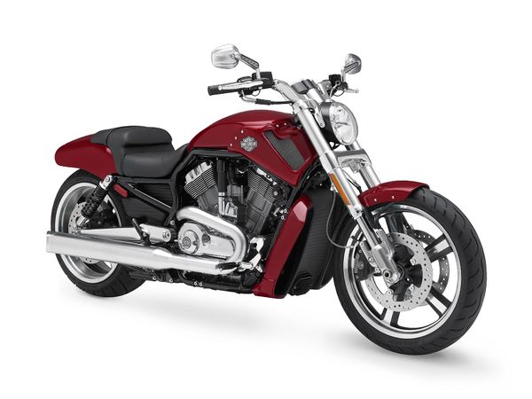 2010 Harley Davidson V-rod Muscle