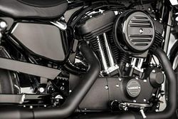 Harley Iron 1200 05.jpg