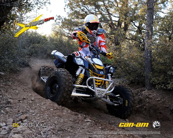 2009 Can-Am/ Brp DS 450 X XC