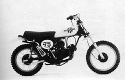 1975-Suzuki-TM75M.jpg