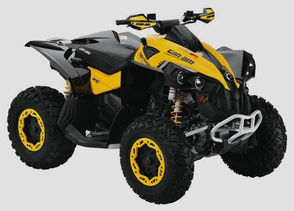 2010 Can-Am/ Brp Renegade 800R X XC